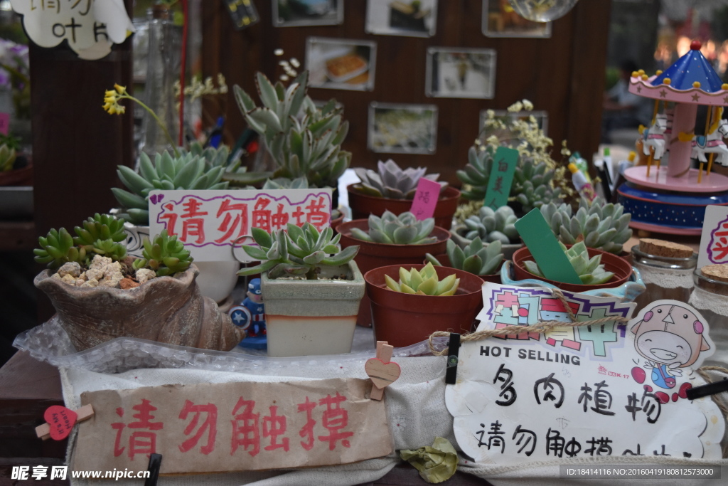 田州古城