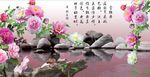 赏牡丹