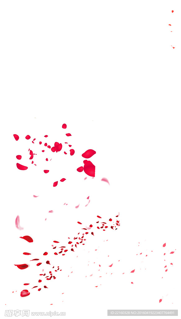 花瓣素材