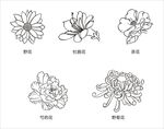 白描 花卉