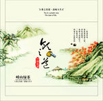 精致茶叶绿茶礼盒(展开图)