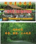 农家乐名片 美食农庄名片 竹林