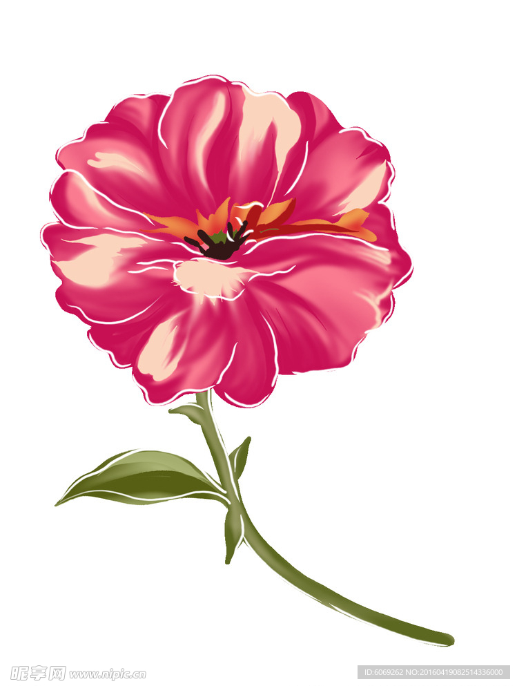 花纹