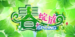 春绽放