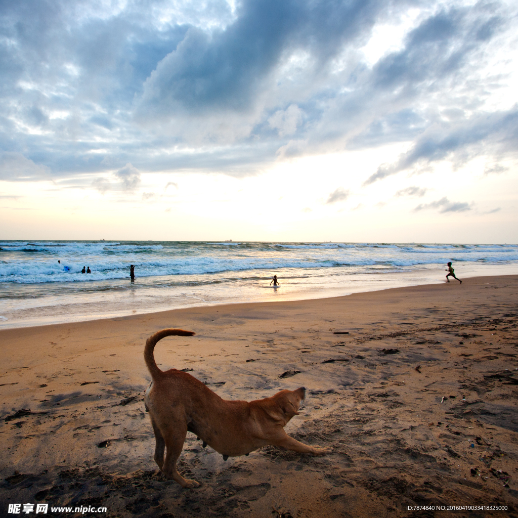 斯里兰卡海景