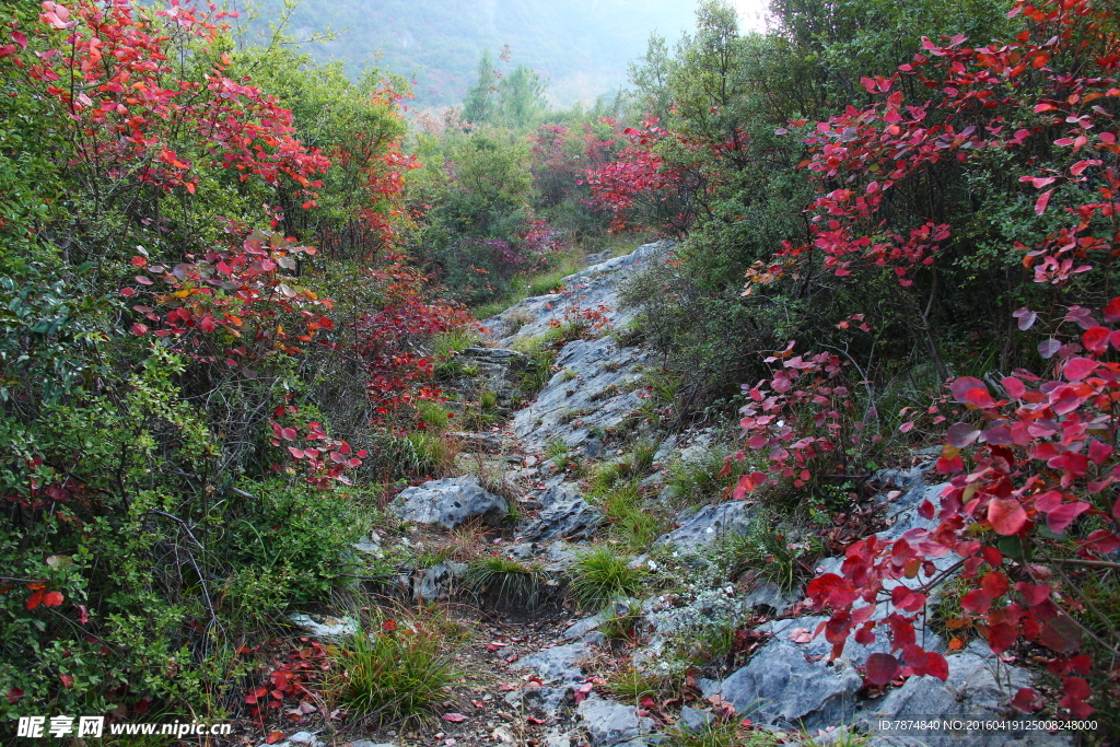 三峡人家