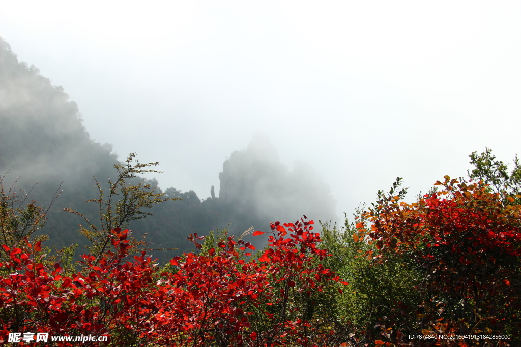 三峡人家