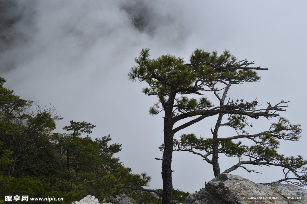 庐山