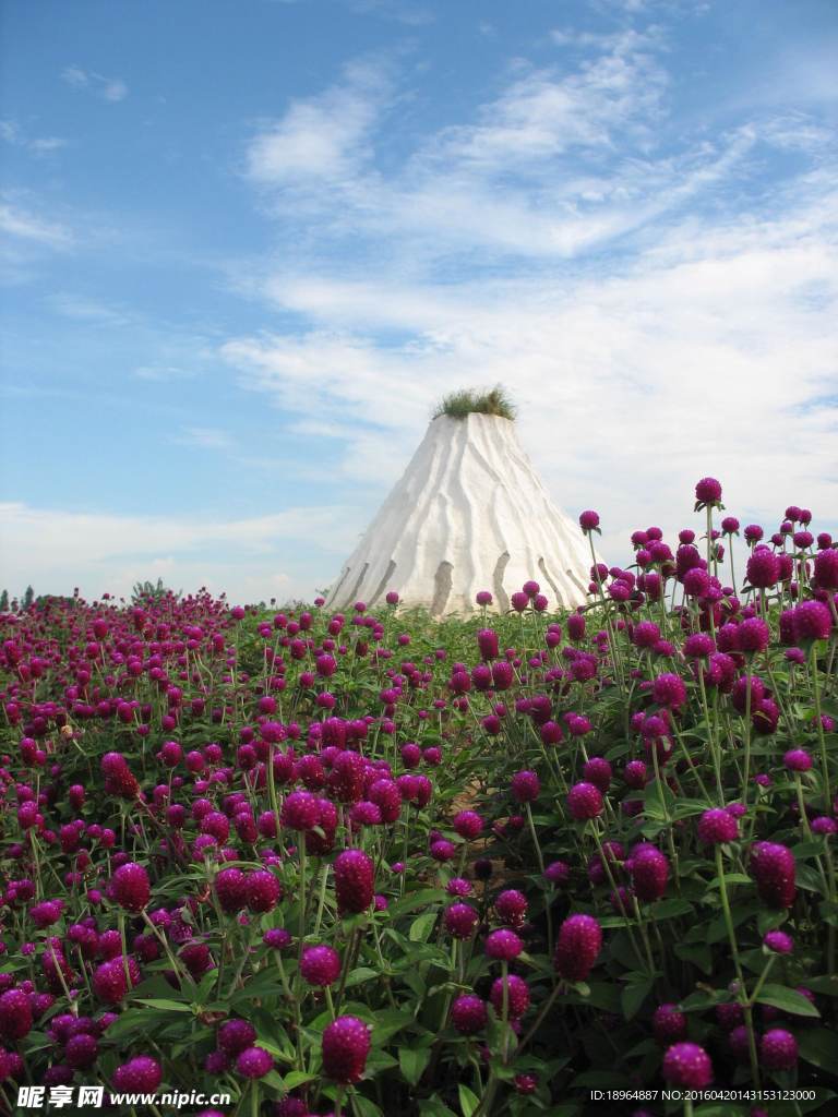 花海场景