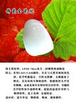 牙齿展板  高清分层