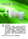 假牙   高清分层