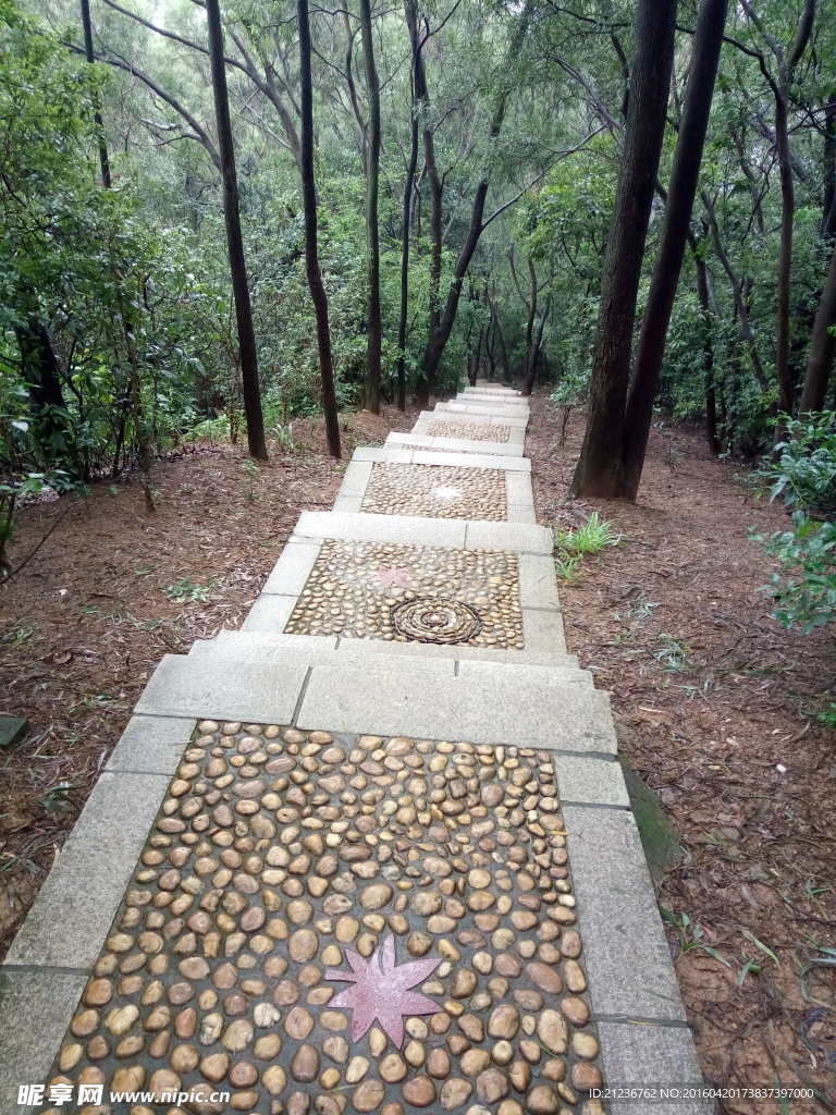 公园小路