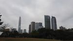高楼大厦