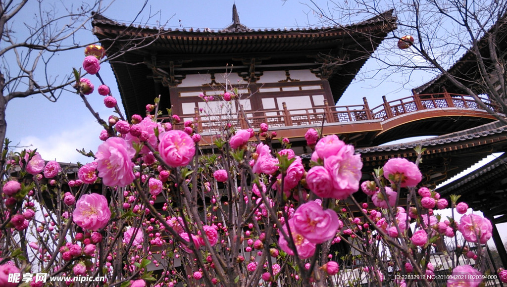 西安青龙寺