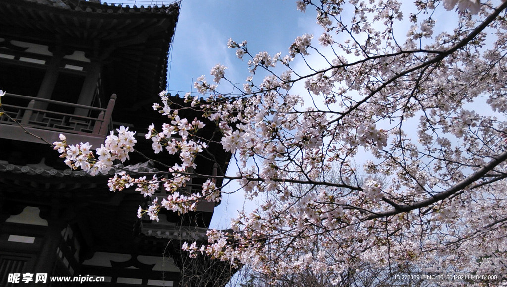 西安青龙寺