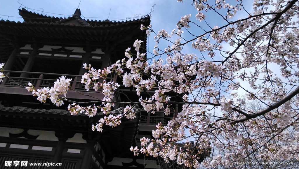 西安青龙寺