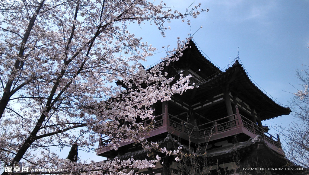 西安青龙寺