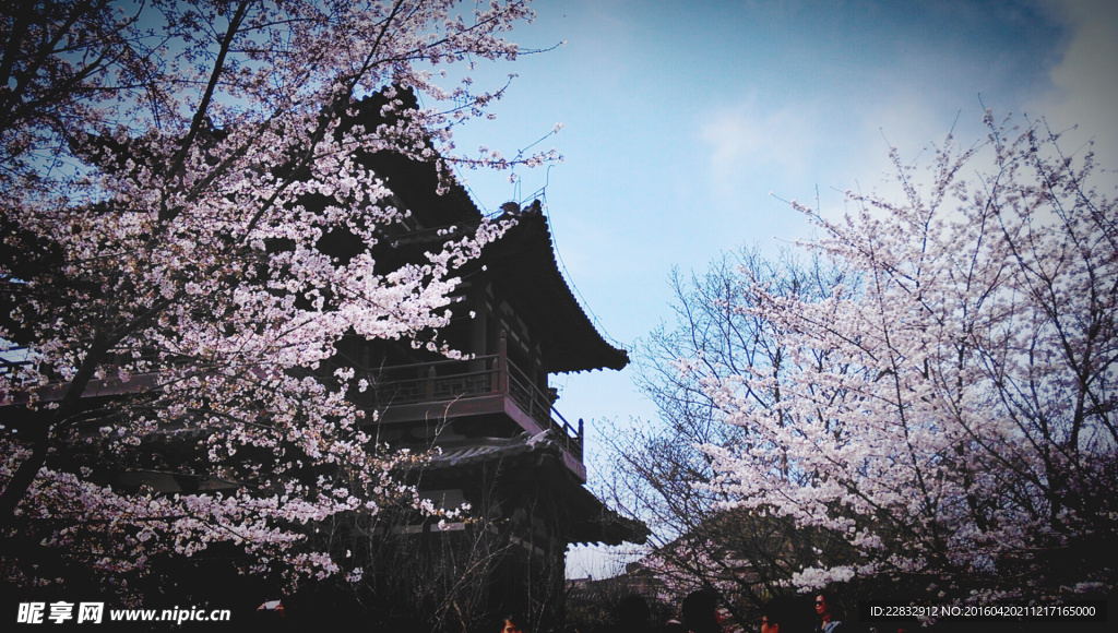 西安青龙寺