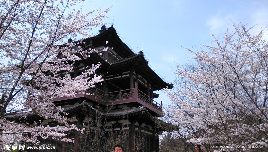 西安青龙寺