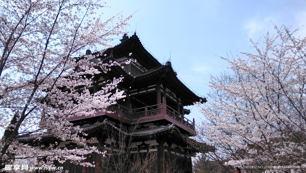 西安青龙寺