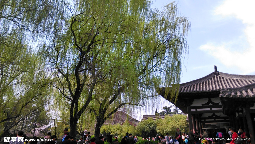 西安青龙寺