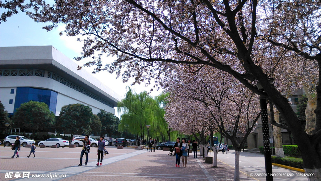西安交通大学