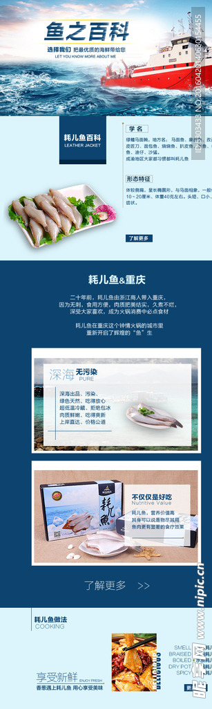 介绍性页面