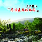 原始森林植物园