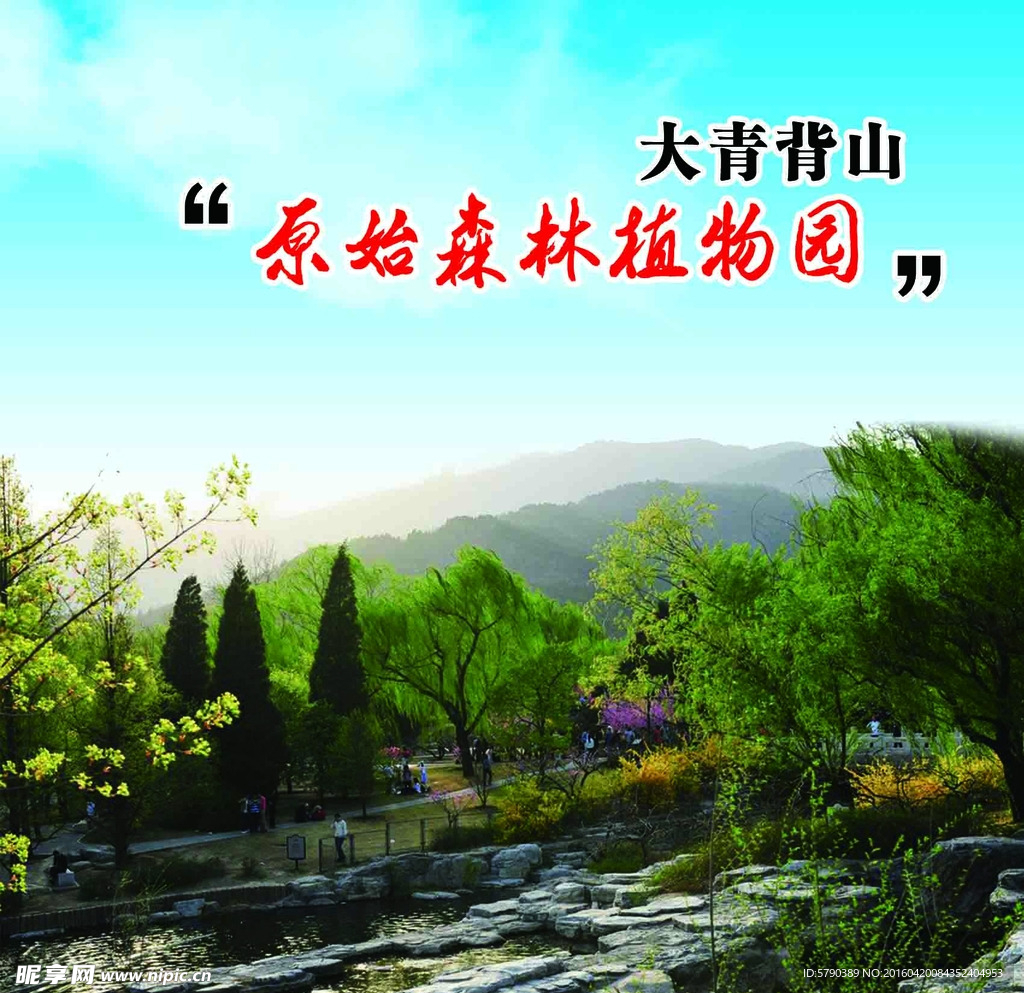 原始森林植物园