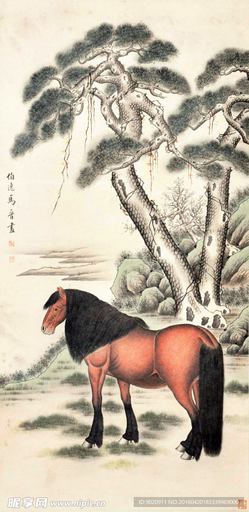 马晋 马