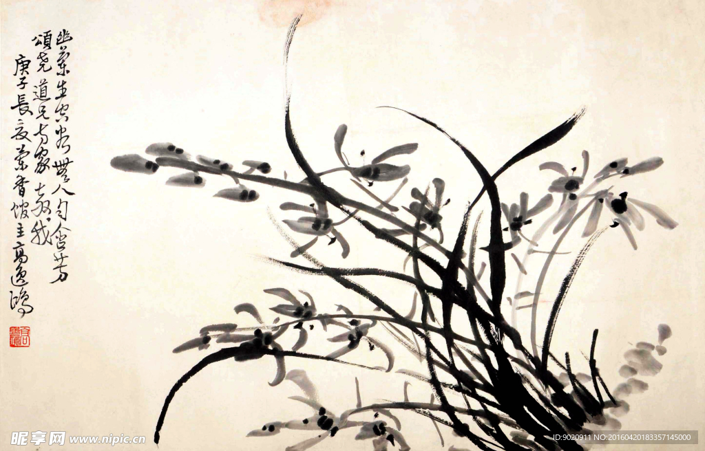 高逸鸿 兰花