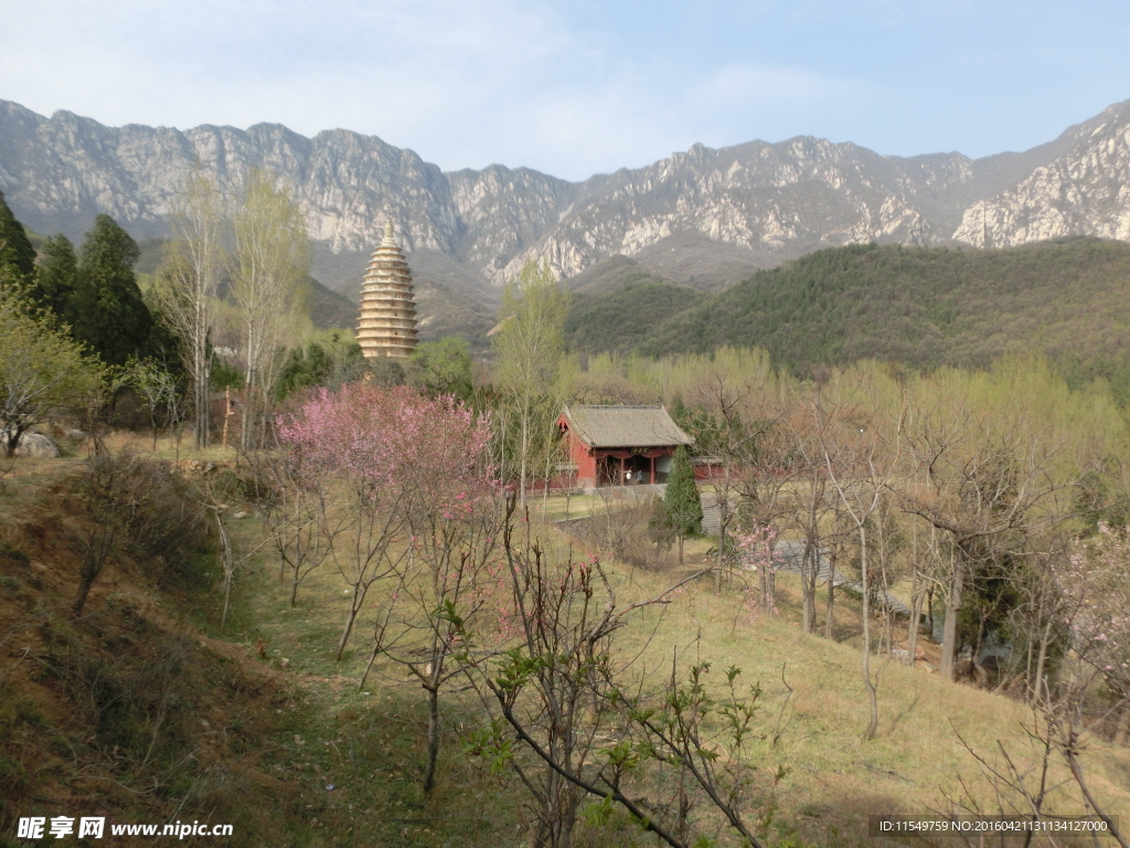 登封春景