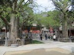 法王寺内景