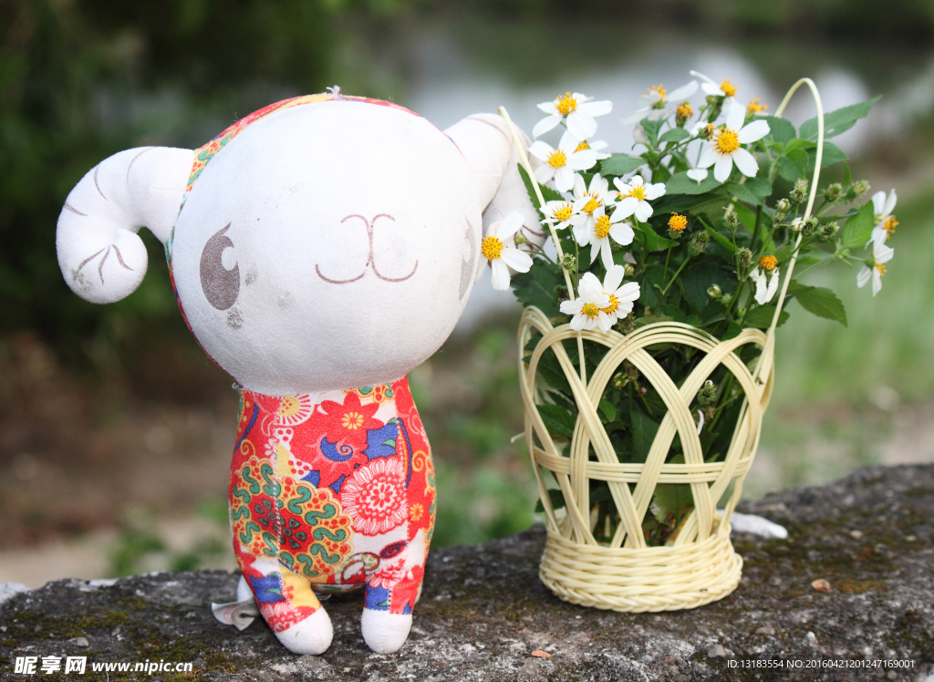 春的野花