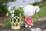 春天的野花