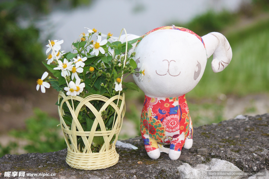 春天的野花