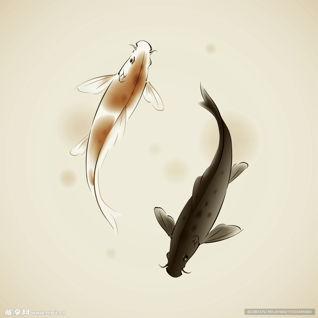 两条金鱼