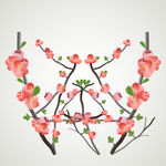 美丽梅花花枝