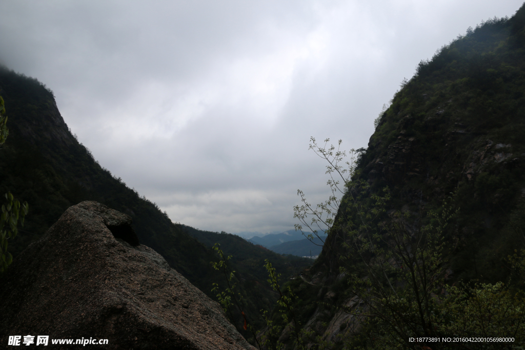 雾里看山