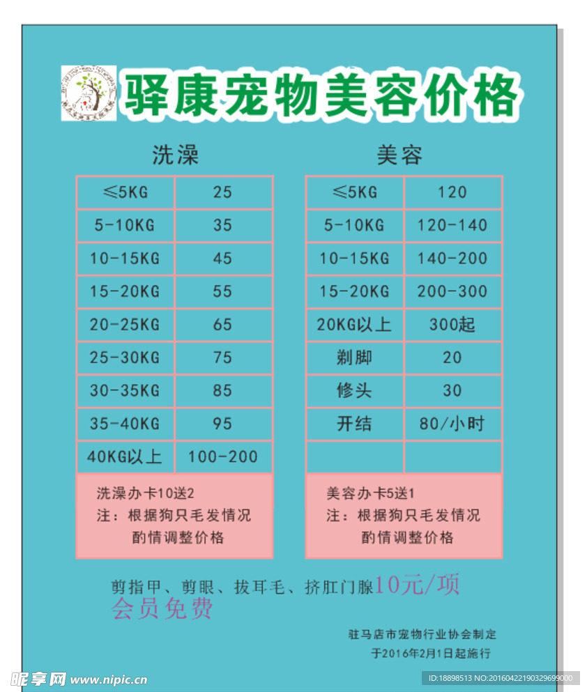 宠物美容