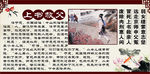 24孝图之八上书救父