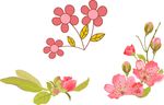 粉色鲜花花朵