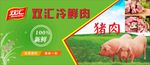 双汇冷鲜肉KT板-猪肉