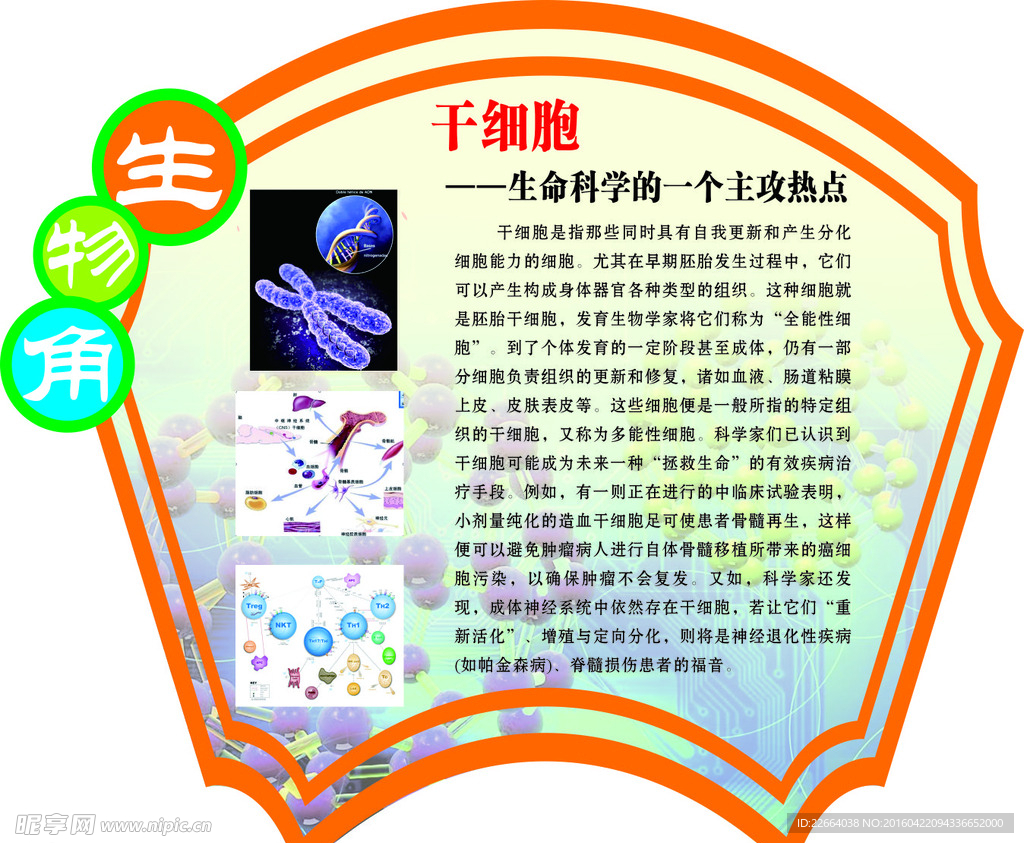 生物知识