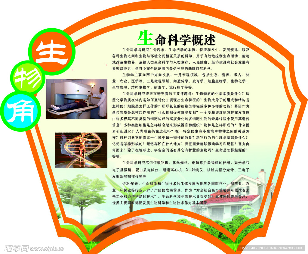 生物知识