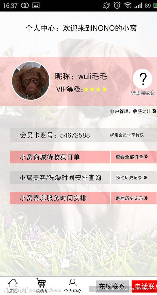 宠物