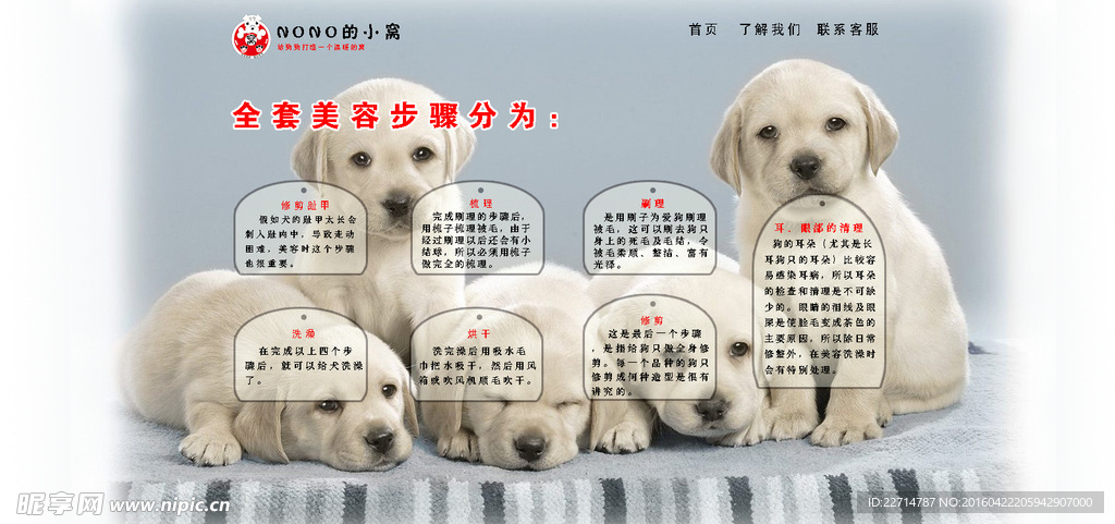 宠物护理页面