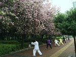 柳州市风光