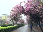 柳州市风光