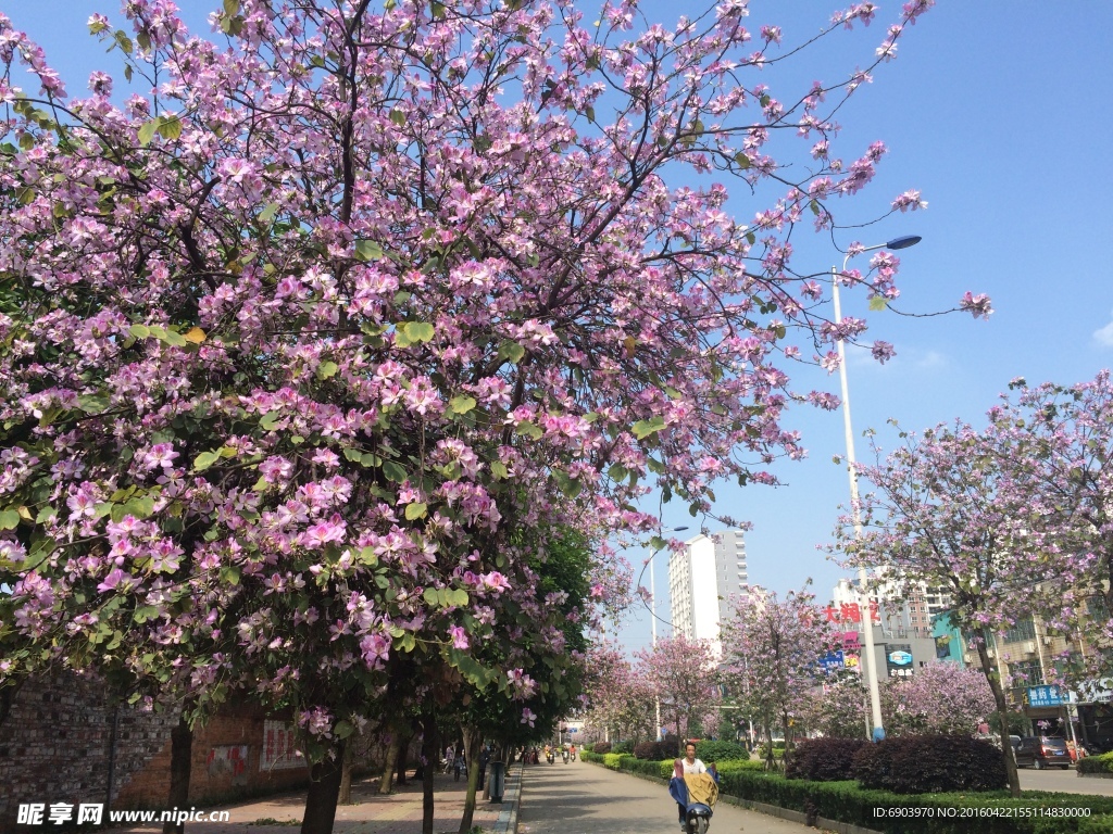 柳州市风光